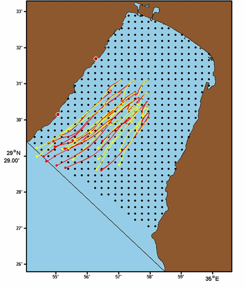 Fig. 1. The Gulf of Eilat and the 510 initial positions (black dots) used to compute trajectories and PVDs for this study.