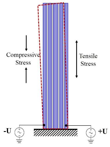 Micromachines 2018, 9, 81 3 of 8 Figure 2. The schematic of in-plane vibration of cantilever. This couple stress will drive the AlN-Si composite cantilever to bend in-plane, as shown in Figure 2.