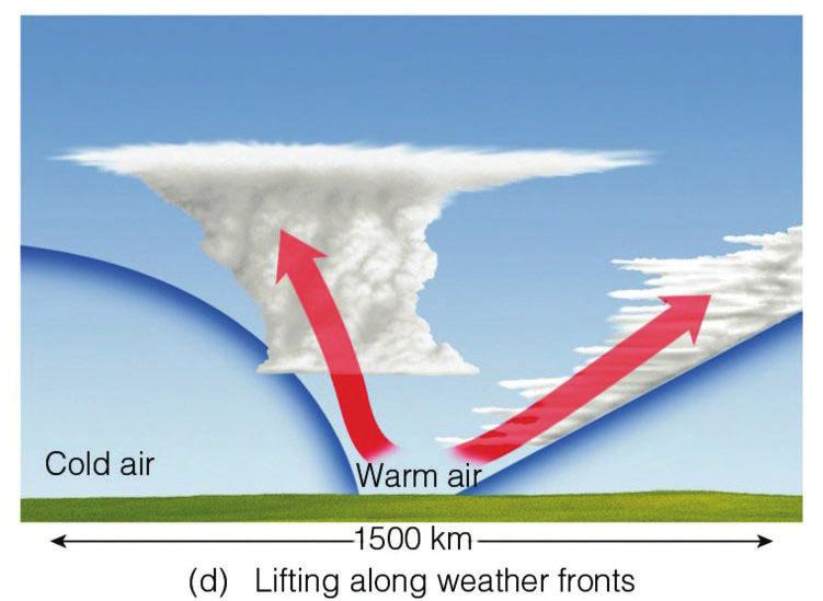 Cloud Development: Frontal Lifting A cold front will lift warm air