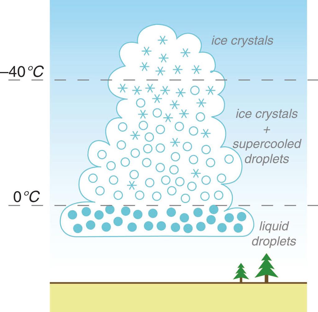 How Does Precipitation Really Form: Collision and Coalescence: water Tiny droplets ride updrafts and collect more water as they rise Eventually they get big enough that gravity takes over and the