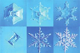 available 15 Ice Crystal Habits (good name for a