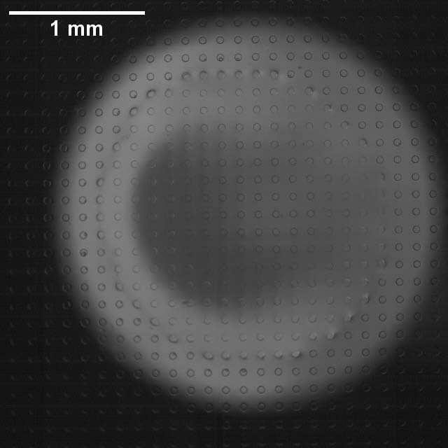3 CL Receding on Micropatterned Substrate Cylindrical micropillars in a square lattice The video of the CL receding is captured at a rate of 1000 fps.