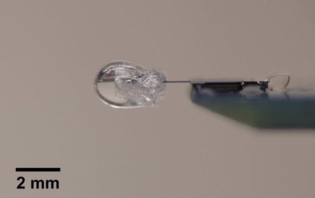 In all trials, the droplet volume is fixed at 10µL. Before each trial, a droplet is dispensed on a micropatterned PDMS surface, which is then transferred to the microscope stage.