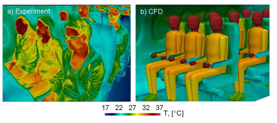 head and hands differ by about 2 C the overall qualitative agreement is good. Probably infrared camera has not enough resolution for these domains.
