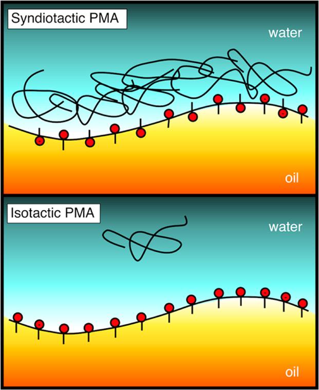 spma and PAA, ipma quickly adsorbs to the interface as a highly ordered polymer layer.