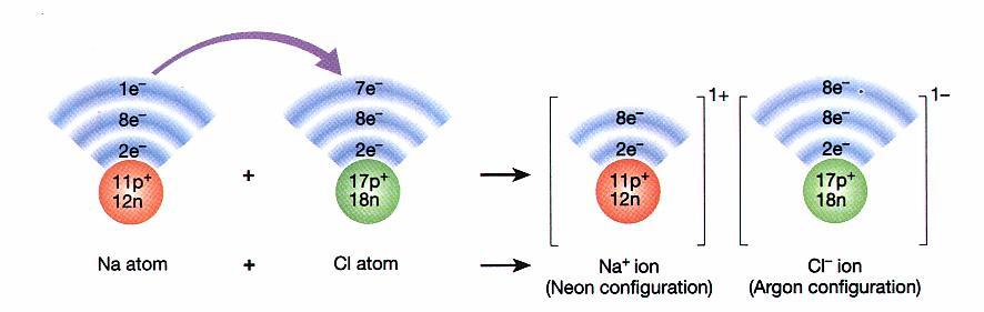 IONIC BOND Ionic bonds occur when electrons are transferred between two atoms.