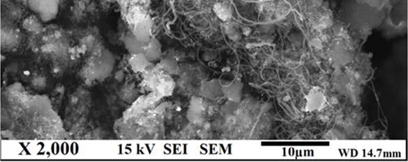 4 a: fresh catalyst before reaction; b: spent catalyst; c:determined from TGA Figure 5a and 5b depicts the SEM micrographs of non-promoted and promoted spent catalysts respectively.