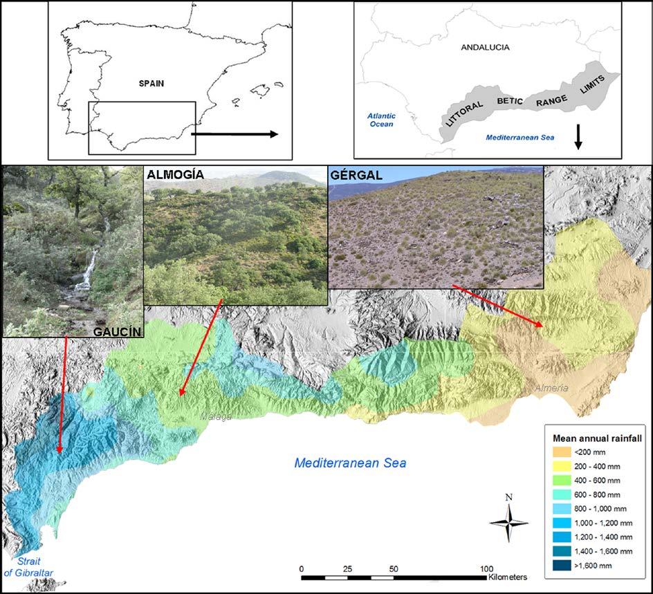 HYDROLOGICAL CONNECTIVITY AND EROSIVE RESPONSE OF HILLSLOPES LOCATED UNDER DIFFERENT CLIMATIC CONDITIONS (CLIMATIC GRADIENT APPROACH).