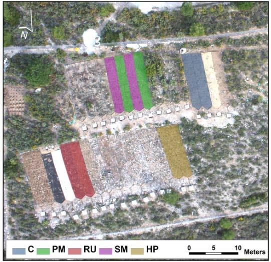 CONSERVATION PRACTICES TO ENHANCE VEGETATION GROWTH AND REDUCE SOIL EROSION. (REME PROJECT, FUNDED BY ANDALUSIAN REGIONAL GOVERNMENT) WHAT WAS STUDIED IN THIS FIELD SITE?