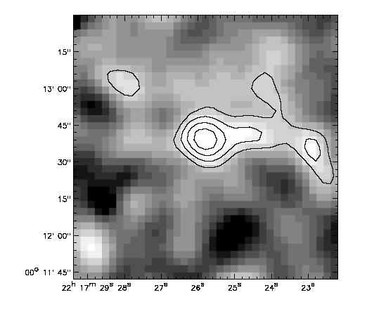 Giant Lyα Blob at z=3.1 (Steidel et al. 2000; Matsuda, TY, et al.