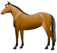 ! 10. Which is the best estimate for the weight of a horse? a. 475 grams b. 745 grams c. 475 kilograms d. 745 milligrams Learning Objective # 6: Practice: I can solve measurement word problems. 11.