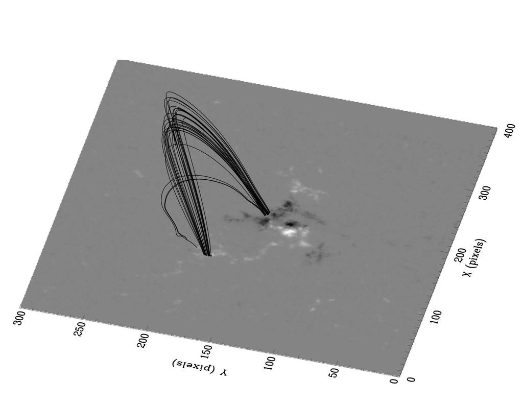 13 Fig. 4. 3D view of field lines shown in Figure 3. value of α for the LFF extrapolations due to its ability to select more valid field lines under both conditions.