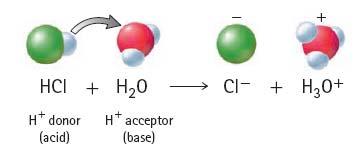 Two Types of Reactions Acid-Base s Oxidation-Reduction s Chlorine catalyst Take heat energy into chemical bonds
