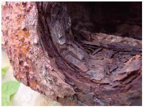 Rust reduces strength Corrosion An oxidation-reduction Metals combine with oxygen Some metals coated or connected by