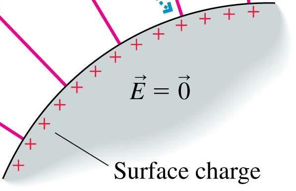 a force on the surface charges and cause a surface