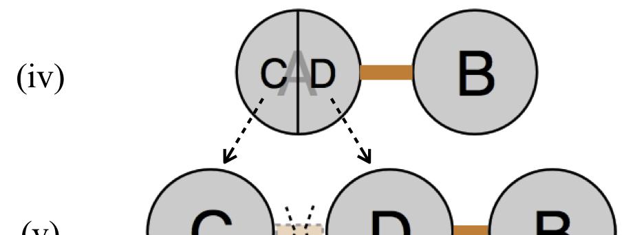 Two atoms with opposing polarities bond by forming links between pairs of cells. Which cells link to form the bond site is determined by comparison of each CA s configuration at the time of collision.