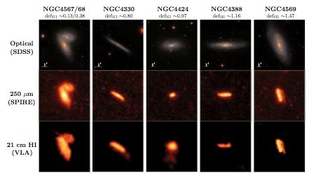 the dust disk is significantly reduced in Hi deficient galaxies, following remarkably well