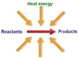 Topic: Endothermic Reactions Objective: How is energy absorbed during a reaction? Endothermic Reactions: During an endothermic reaction, energy is absorbed as a reactant. A + B + Energy C + D i.