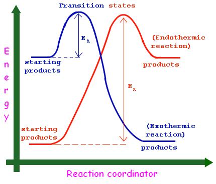 Catalysts and Inhibitors: For the PE diagram to the LEFT, Curve 1 would be the control (normal) PE curve of Activation Energy. Curve 2 would be the catalyzed (lower) PE curve of Activation Energy.