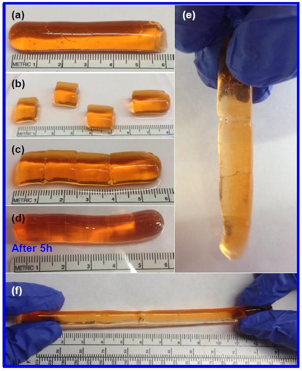 Figure S2. Self-healing hydrogel (Entry 3). (a) Original hydrogel. (b) The hydrogel was separated by cutting. (c) Hydrogel sections are left in contact to allow for self-healing.