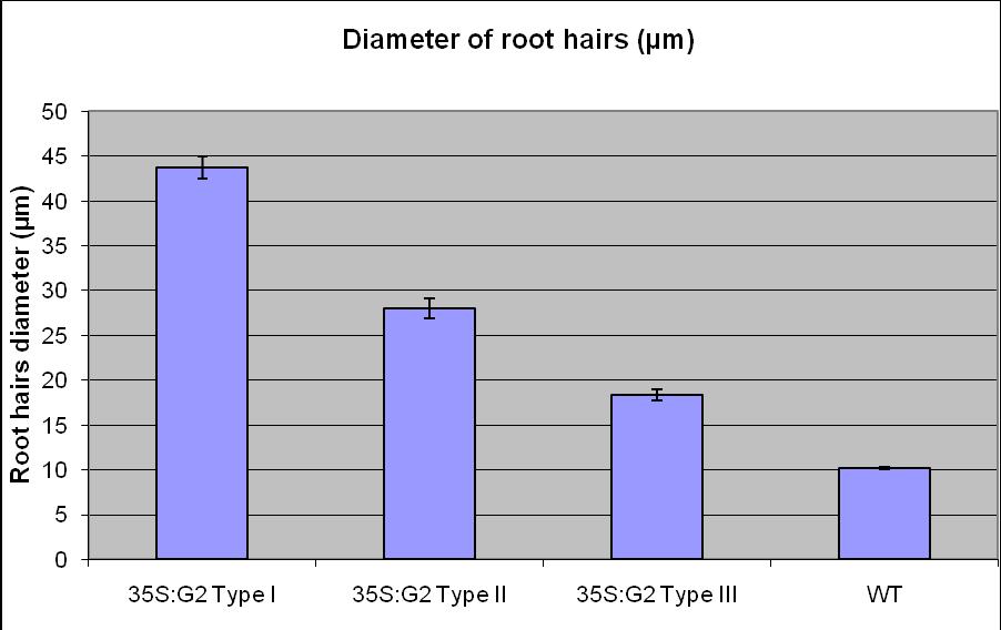 Figure 4.18 The diameters of 35S:G2 type I, type II and type III root hairs. The diameters were determined by calculating the average diameter of thirty root hairs. Error bar: stand error.