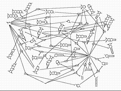 Network of chemical reactions