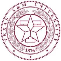 Saturday Morning Physics -- Texas A&M University Particles and Forces What