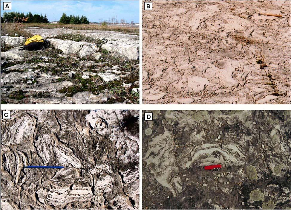 4 Figure 8(b)-3: Palaeoseismic mat disruption features. (A) Outcrop photograph of glacially polished Nepean quartz arenites along Highway 417, near Kanata, western Ottawa.