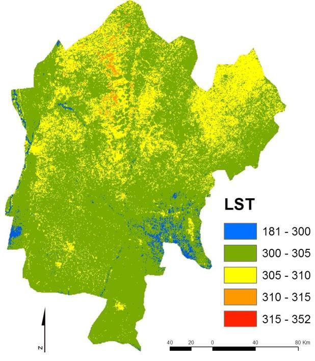 The vegetated areas are clearly highlighted