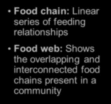 Webs Food chain: Linear series of feeding