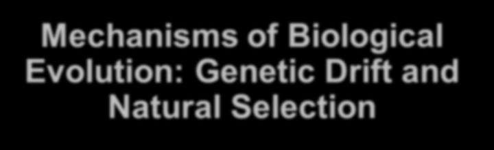 Genetic Drift and Natural Selection QuickTime and a
