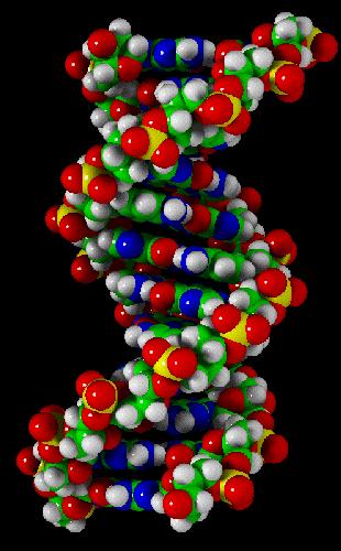 All living things share a universal genetic code