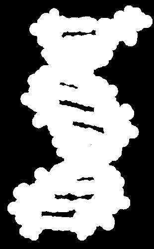 Segment of DNA with PROTEIN instructions for one is