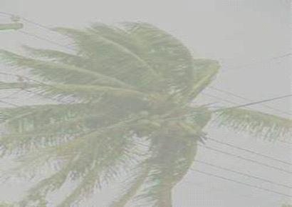 Cyclone Waka 2001 Dec 30 - Niuafo'ou & Niuatoputapu. Dec 31 - Vava'u Group. 26,500 people in 4,600 households affected.