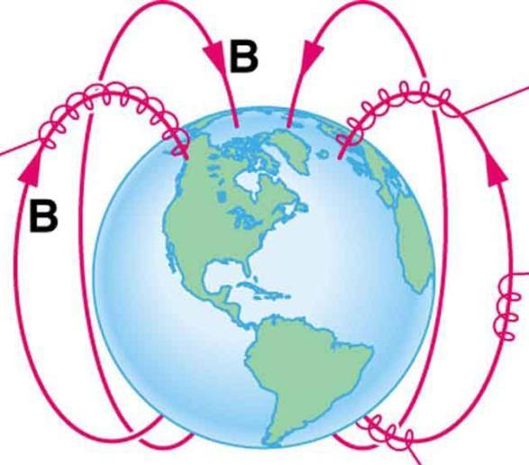 40. Charged particles ejected from the sun get funnelled towards the Earth's north and south pole. Account for why these particles spiral around the Earth's magnetic field lines, as shown below. 41.