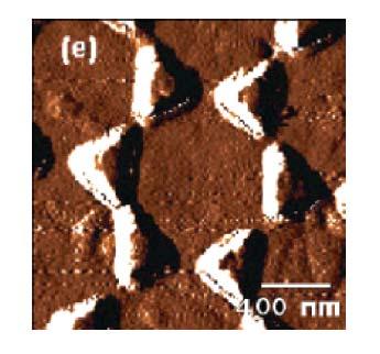 Gold nanoprisms: detection TEM image M. El-Sayed Georgia Inst. Tech.