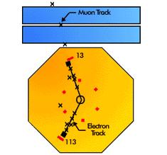 A new third charged Lepton Tau was discovered a year later (1975) at SPEAR (SLAC Positron Electron Collider) Martin Perl e +