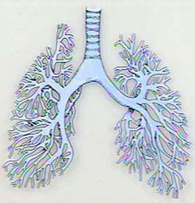 Modeling Airflow and Particle Deposition in the Lung Bahman Asgharian