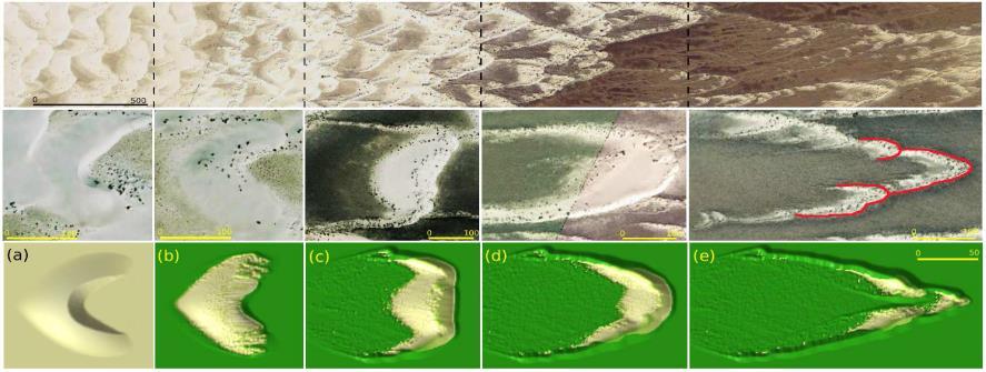 Stabilization of shifting sands - vegetation Model simulation images 1. vegetation growth 2.