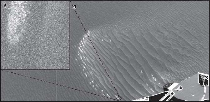 Importance of saltation on Mars Saltation creates dunes, ripples, and other bedforms