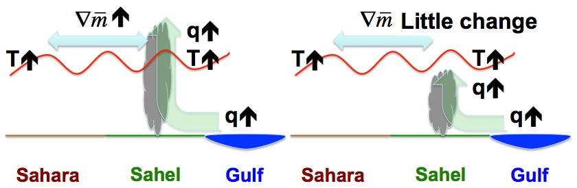 Our claim Deeper convection in RAS enhances Sahel-Sahara MSE difference more RAS UW Schematic courtesy of Yi Ming Notation: m is MSE