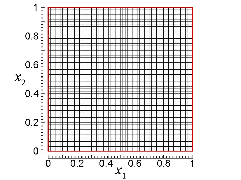 Zadano je ravninsko potencijalno strujanje fluida gustoće ρ =1 u kvadratnom području veličine 1x1, koje je smješteno u prvom kvadrantu ravnine x 3 = 0.