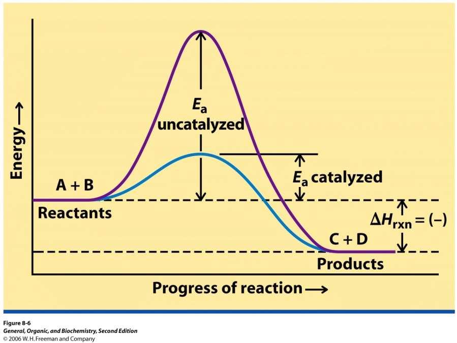 Catalysis Catalysis: speeding up of chemical reactions Catalysts are species that speed up chemical reactions without being consumed.