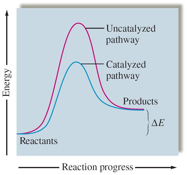 reaction without being consumed itself catalysis