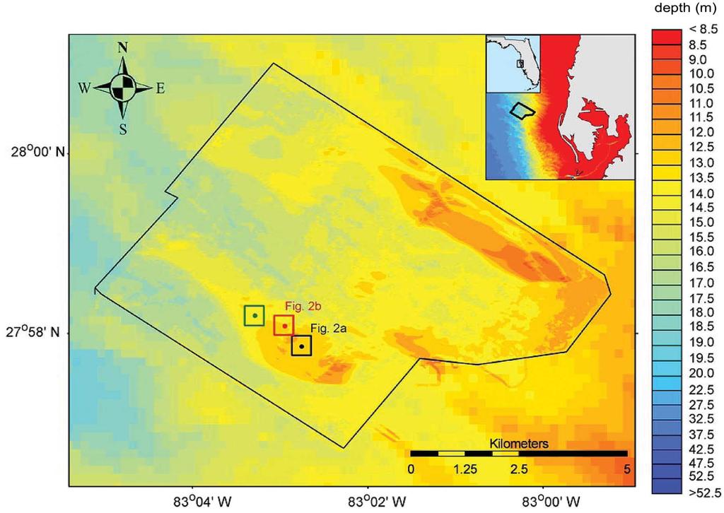 104 IEEE JOURNAL OF OCEANIC ENGINEERING, VOL. 32, NO. 1, JANUARY 2007 Fig. 1. Location of the experiment site off IRB.
