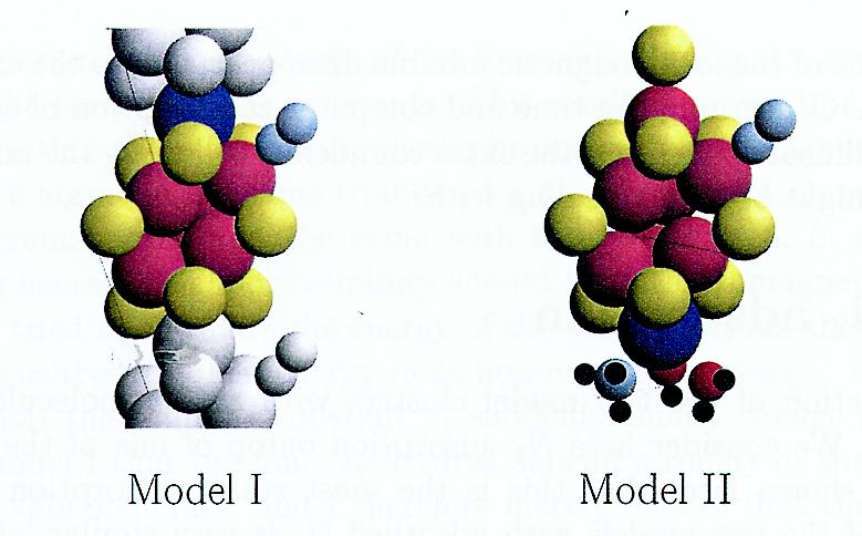 N 2 Adsorption on Models I and II