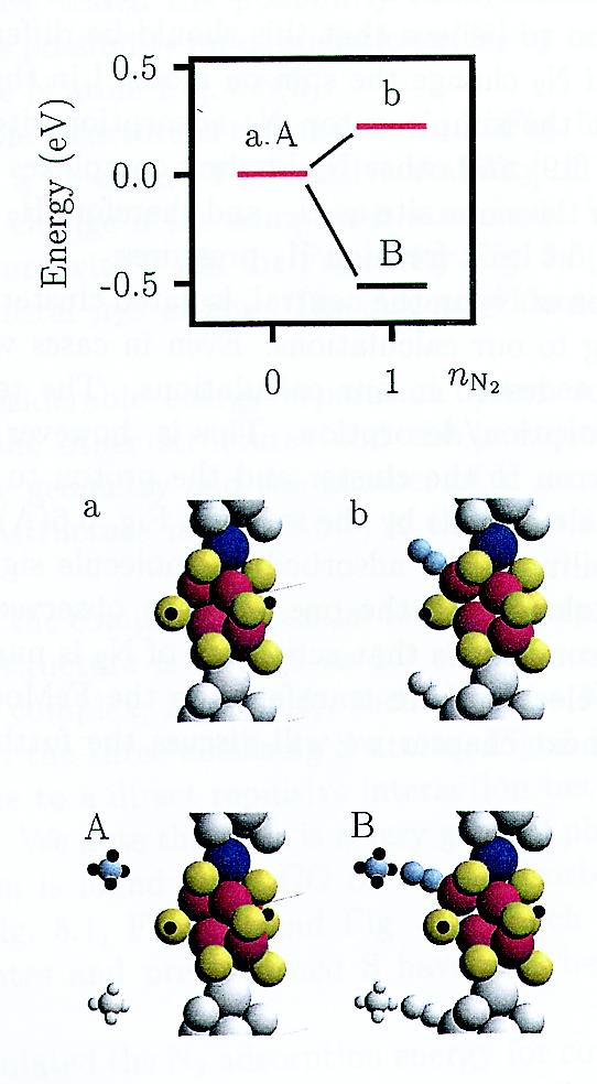 N 2 Adsorption on Model I with