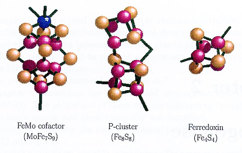 The Metalloclusters Sulfur: yellow Iron: purple Molybdenum: blue N. Schindelin et al.