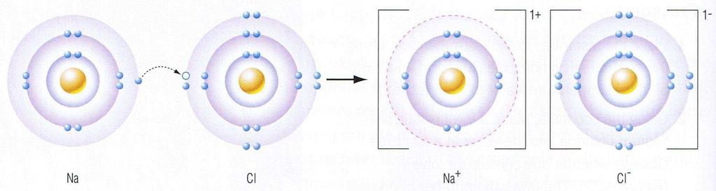 ELECTRONS ARE THE KEY!! Î Electrons can move from one orbit to another.