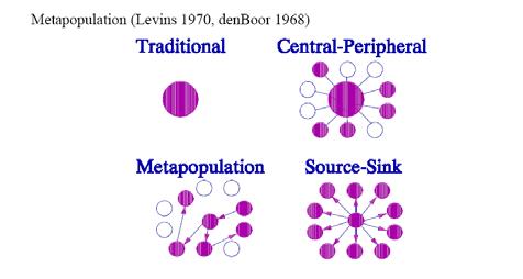 Metapopulations Formal Definitions (Hanski and Simberloff 1997) Local Population: Population, subpopulation, deme Set of individuals that live in the same habitat patch and therefore interact with